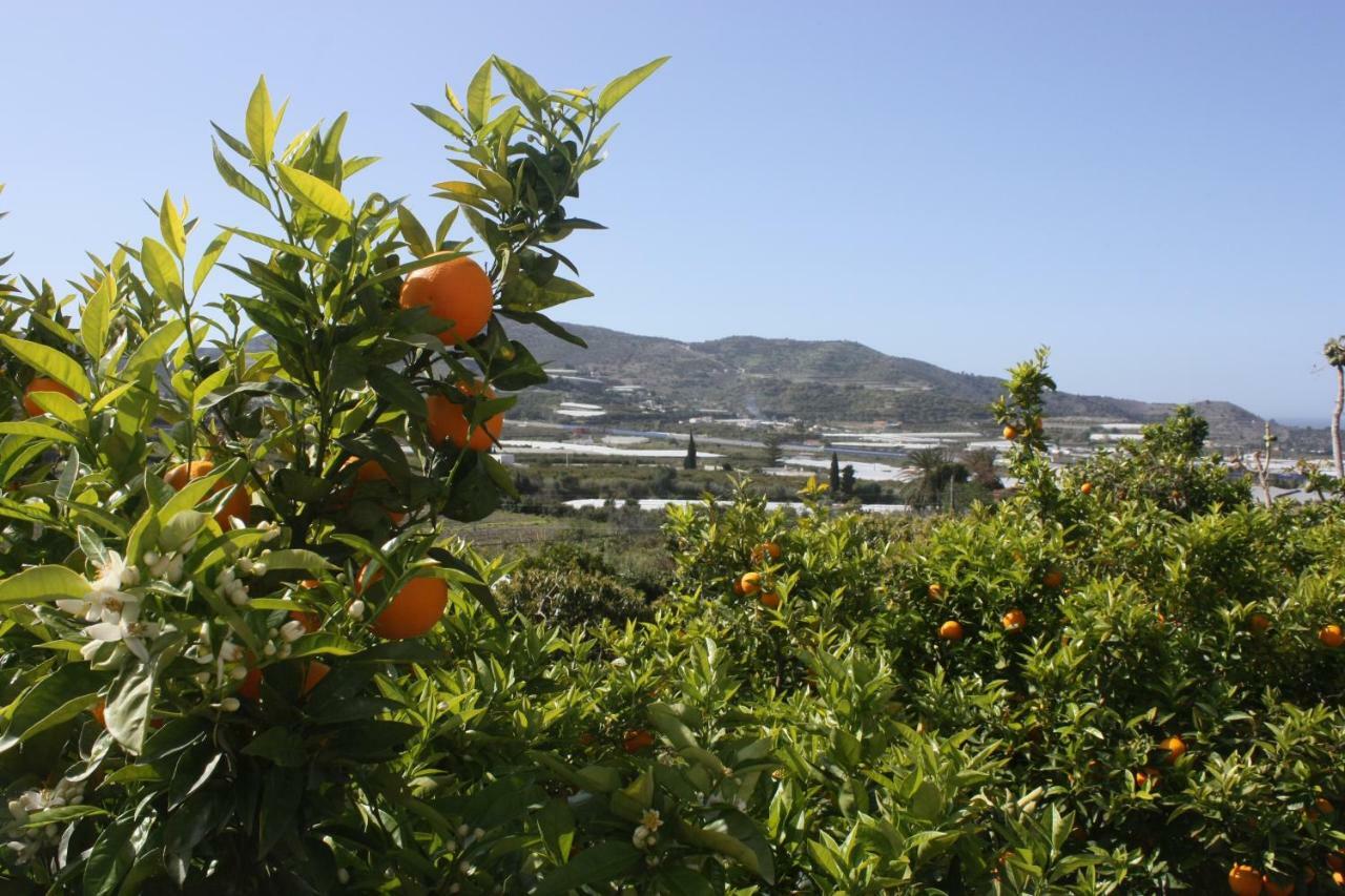 Cortijo del Sidi Motril Exterior foto
